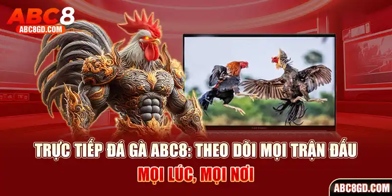 Đá Gà ABC8 - Trải nghiệm thiên đường chọi kê đẳng cấp