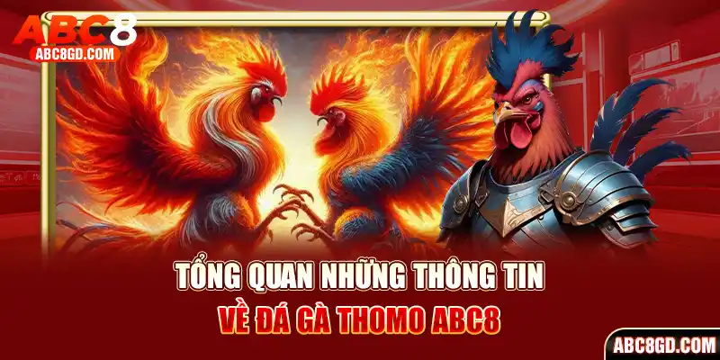 Đá gà Thomo và những thông tin tổng quan cần biết