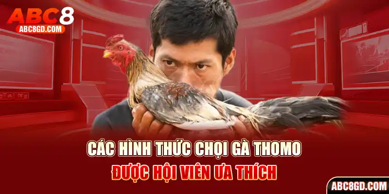 Các hình thức chọi gà Thomo được nhiều người chơi ưa thích