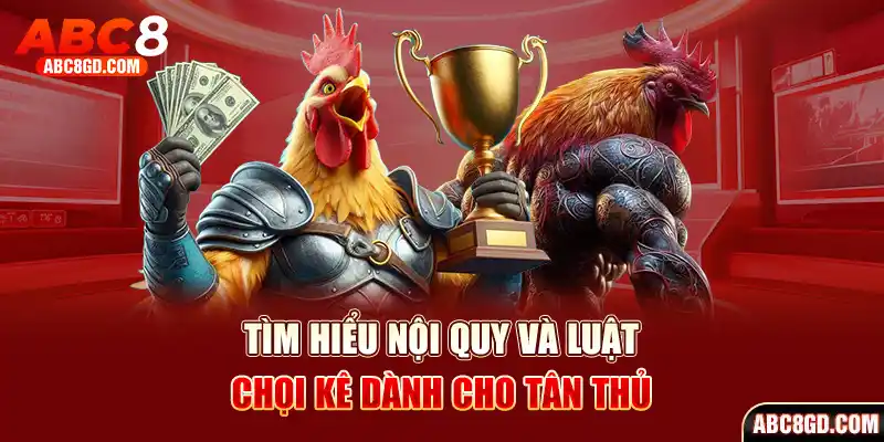 Phổ biến quy luật chọi kê cựa dao dành cho tân thủ