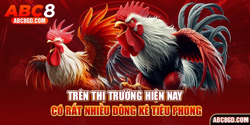 Trên thị trường hiện nay có rất nhiều dòng kê Tiêu Phong