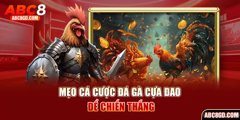 Mẹo hay mà bạn không nên bỏ qua khi cá cược chọi kê