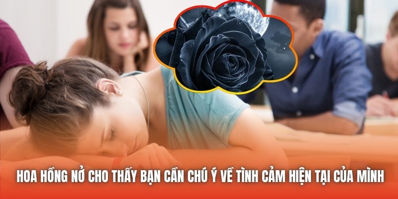 Hoa hồng nở cho thấy bạn cần chú ý về tình cảm hiện tại của mình
