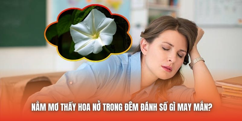 Nằm mơ thấy hoa nở trong đêm đánh số gì may mắn?